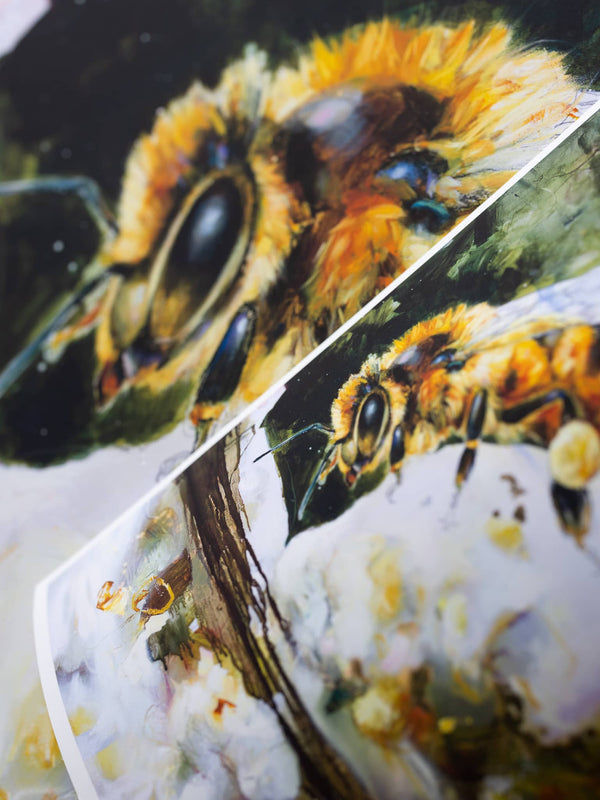 "Chasing The Flowers" Fine Art Print